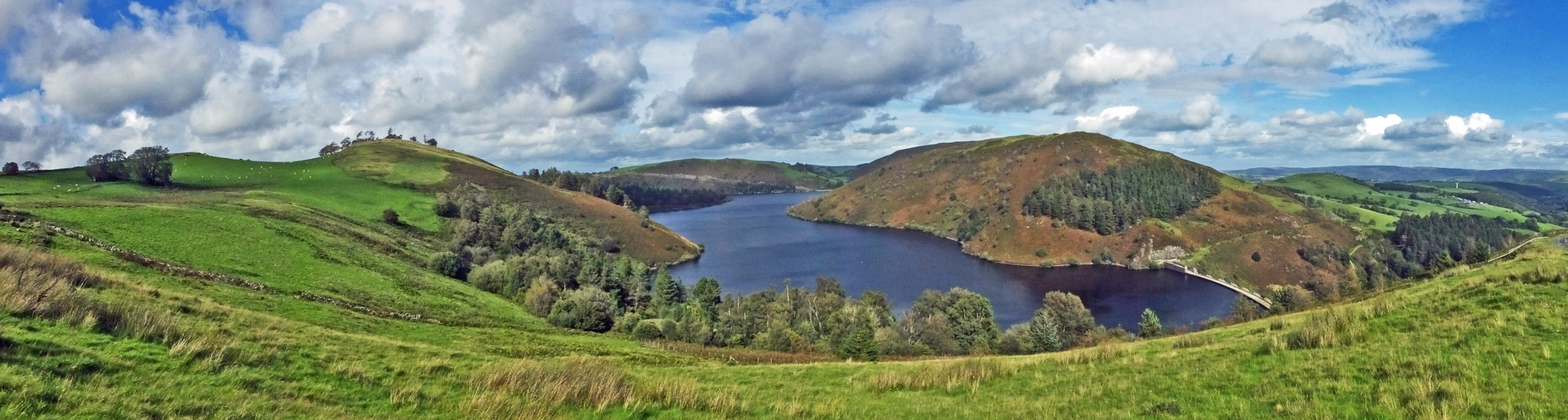 CLYWEDOG VIEW Bill Bagley Photography